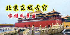 www视频帅哥插美女阴道露胸网站立即播放在线中国北京-东城古宫旅游风景区